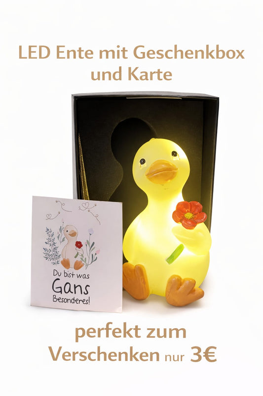 LED Ente mit Geschenkbox